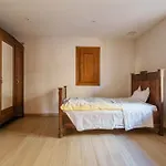 L'azure, Alsace Ingenheim